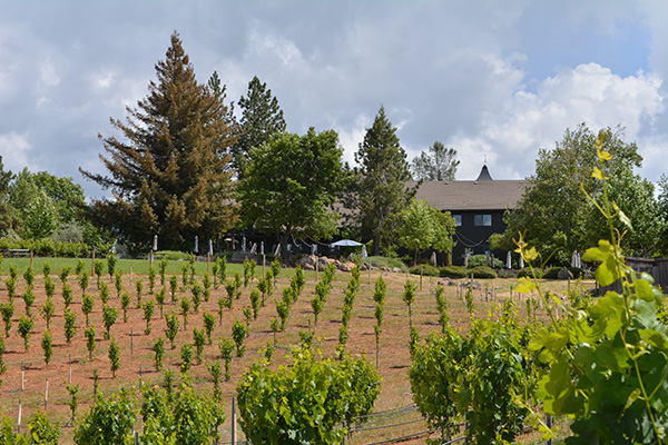 Explore the best things to do in Placerville, including wine tasting at Lava Cap Winery in Apple Hill. Enjoy estate-grown wines, Sierra Foothills views, live events, and the unique character of the El Dorado AVA.