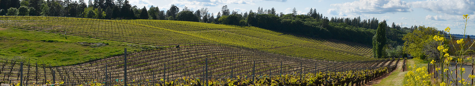 Lava Cap Winery Photo