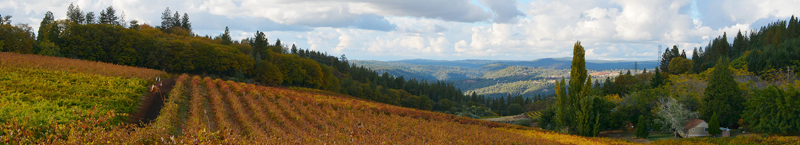 Lava Cap Winery Photo